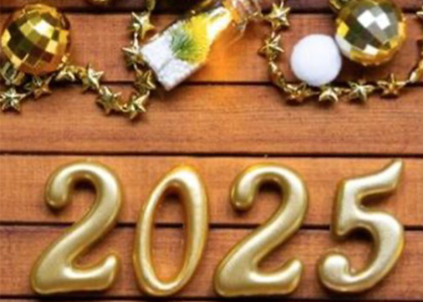 2025 – new year - celebration